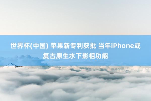 世界杯(中国) 苹果新专利获批 当年iPhone或复古原生水下影相功能