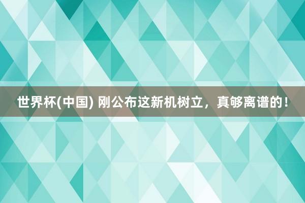 世界杯(中国) 刚公布这新机树立，真够离谱的！