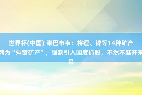 世界杯(中国) 津巴布韦：将锂、镍等14种矿产列为“舛错矿产”，强制引入国度抓股，不然不准开采