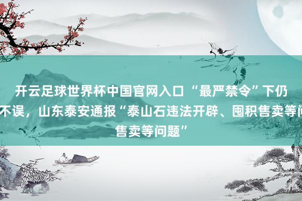 开云足球世界杯中国官网入口 “最严禁令”下仍照卖不误，山东泰安通报“泰山石违法开辟、囤积售卖等问题”