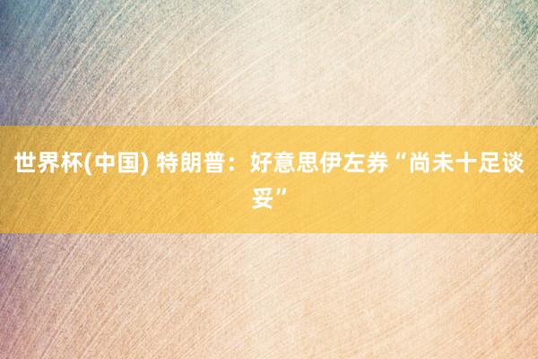 世界杯(中国) 特朗普：好意思伊左券“尚未十足谈妥”