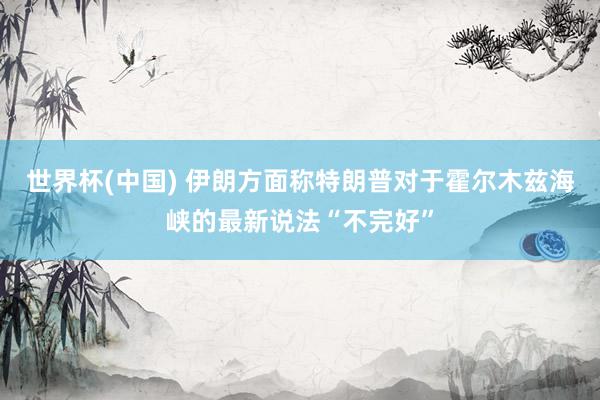 世界杯(中国) 伊朗方面称特朗普对于霍尔木兹海峡的最新说法“不完好”