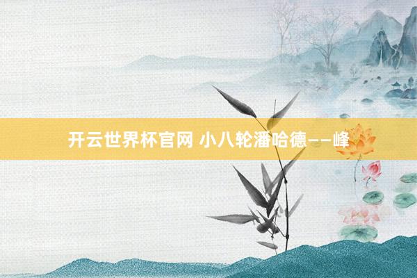 开云世界杯官网 小八轮潘哈德——峰