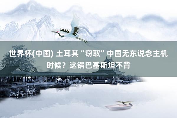 世界杯(中国) 土耳其“窃取”中国无东说念主机时候？这锅巴基斯坦不背