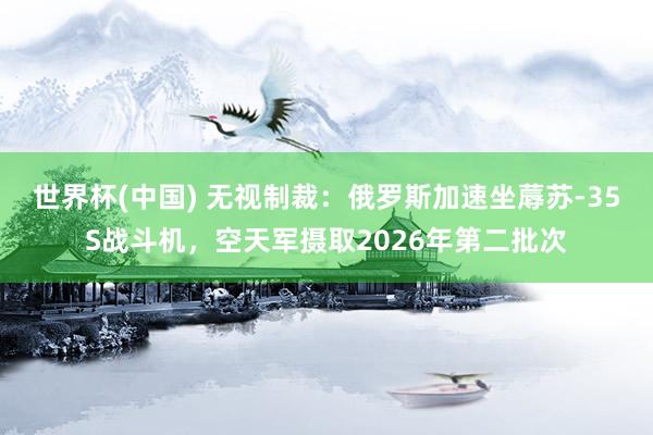 世界杯(中国) 无视制裁：俄罗斯加速坐蓐苏-35S战斗机，空天军摄取2026年第二批次