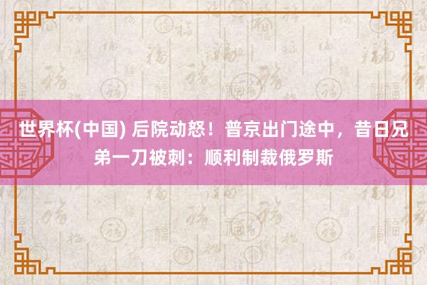 世界杯(中国) 后院动怒！普京出门途中，昔日兄弟一刀被刺：顺利制裁俄罗斯