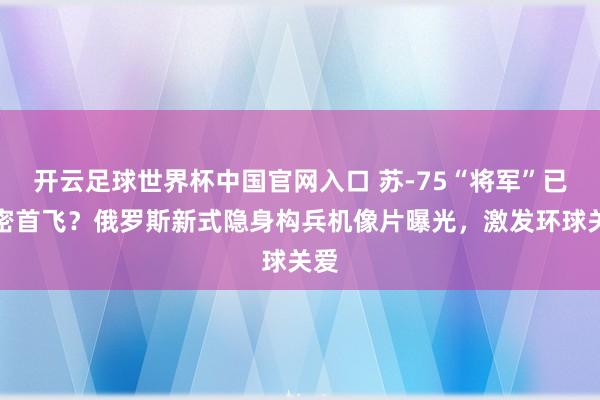 开云足球世界杯中国官网入口 苏-75“将军”已机密首飞？俄罗斯新式隐身构兵机像片曝光，激发环球关爱