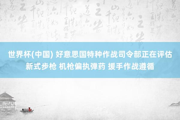 世界杯(中国) 好意思国特种作战司令部正在评估新式步枪 机枪偏执弹药 援手作战遵循