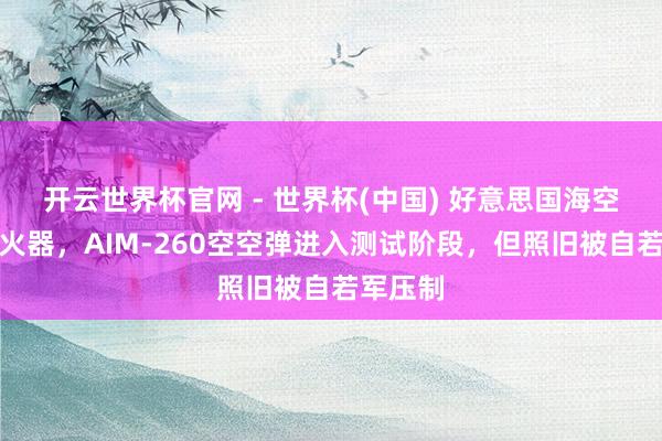 开云世界杯官网 - 世界杯(中国) 好意思国海空军的新火器，AIM-260空空弹进入测试阶段，但照旧被自若军压制