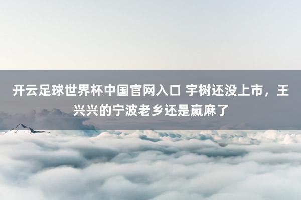 开云足球世界杯中国官网入口 宇树还没上市，王兴兴的宁波老乡还是赢麻了