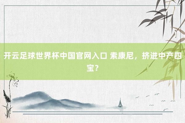 开云足球世界杯中国官网入口 索康尼，挤进中产四宝？