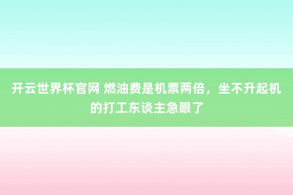 开云世界杯官网 燃油费是机票两倍，坐不升起机的打工东谈主急眼了