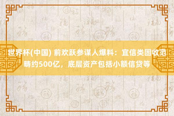 世界杯(中国) 前欢跃参谋人爆料：宜信类固收范畴约500亿，底层资产包括小额信贷等
