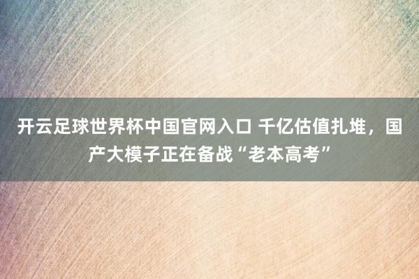开云足球世界杯中国官网入口 千亿估值扎堆，国产大模子正在备战“老本高考”