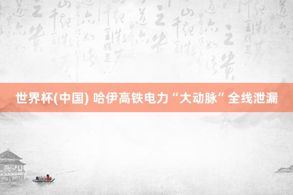 世界杯(中国) 哈伊高铁电力“大动脉”全线泄漏