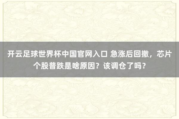 开云足球世界杯中国官网入口 急涨后回撤，芯片个股普跌是啥原因？该调仓了吗？