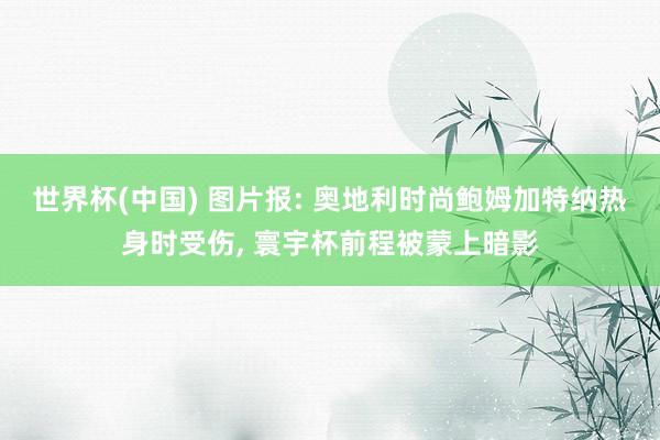 世界杯(中国) 图片报: 奥地利时尚鲍姆加特纳热身时受伤, 寰宇杯前程被蒙上暗影