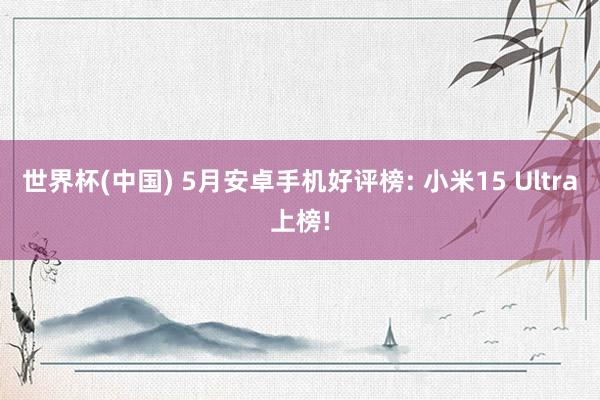 世界杯(中国) 5月安卓手机好评榜: 小米15 Ultra上榜!