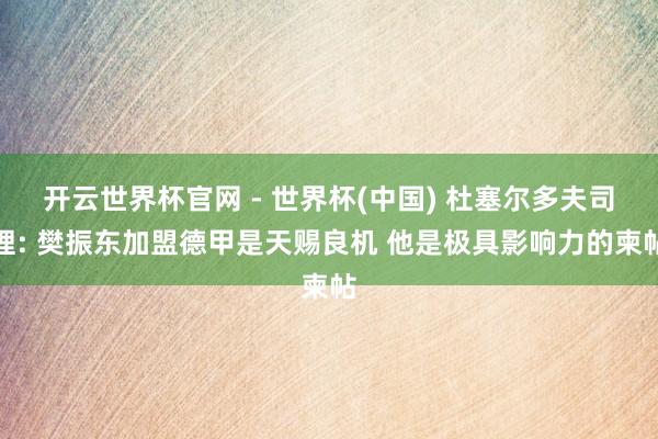 开云世界杯官网 - 世界杯(中国) 杜塞尔多夫司理: 樊振东加盟德甲是天赐良机 他是极具影响力的柬帖