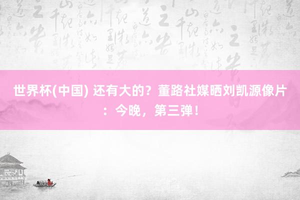 世界杯(中国) 还有大的？董路社媒晒刘凯源像片：今晚，第三弹！