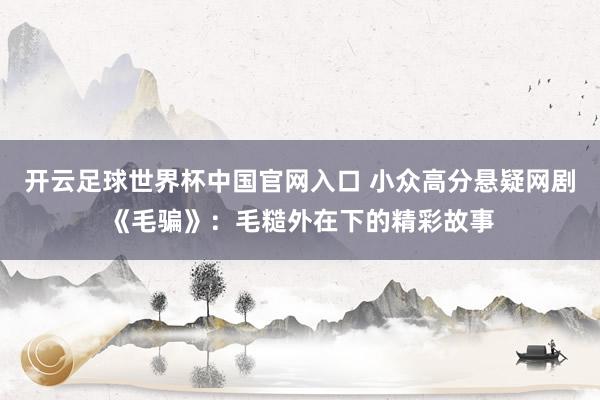 开云足球世界杯中国官网入口 小众高分悬疑网剧《毛骗》：毛糙外在下的精彩故事