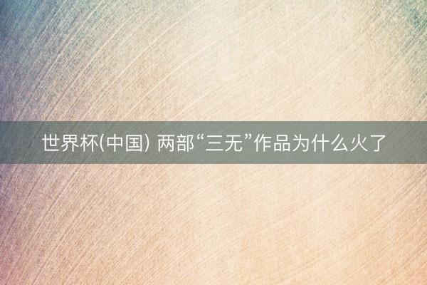世界杯(中国) 两部“三无”作品为什么火了