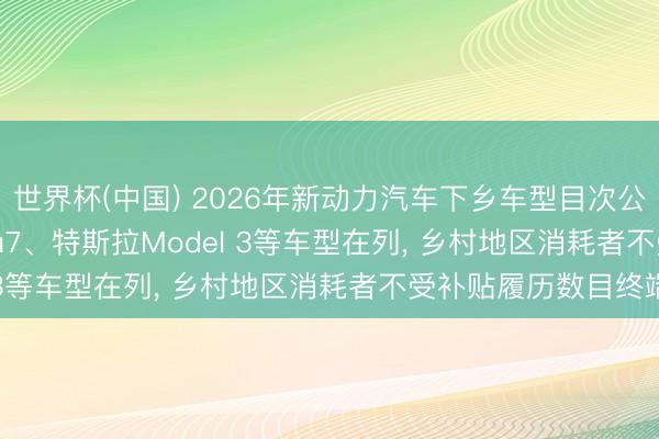 世界杯(中国) 2026年新动力汽车下乡车型目次公布， 共155款， 小米su7、特斯拉Model 3等车型在列， 乡村地区消耗者不受补贴履历数目终端