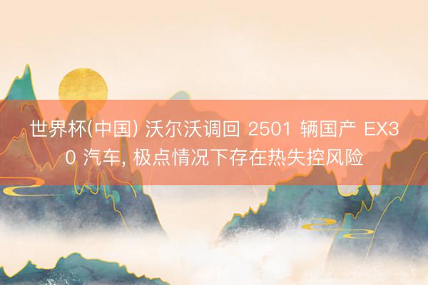 世界杯(中国) 沃尔沃调回 2501 辆国产 EX30 汽车, 极点情况下存在热失控风险